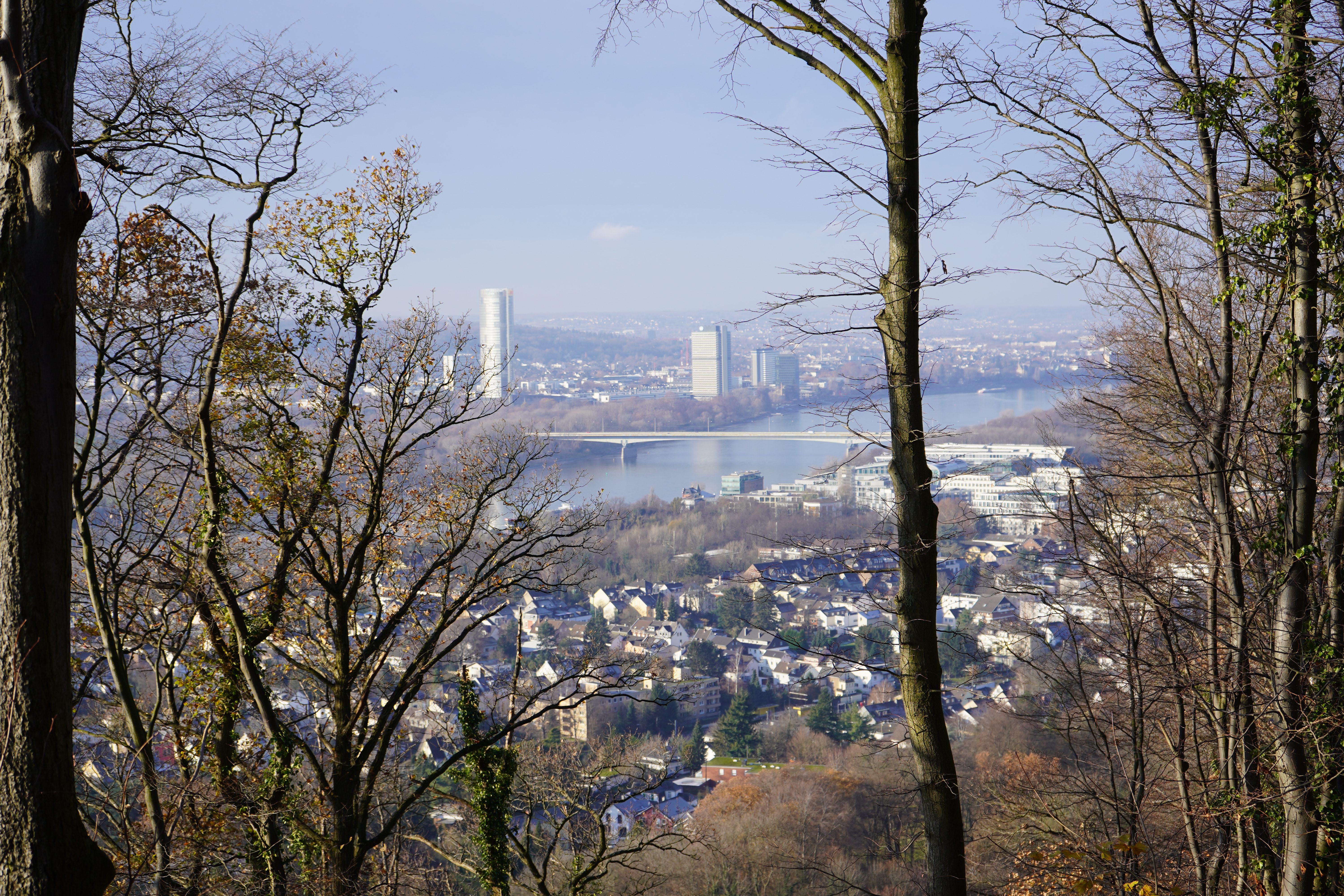 Aussichten Oberkassel
